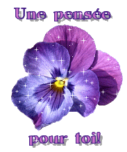 une pensée particulière pour vous!